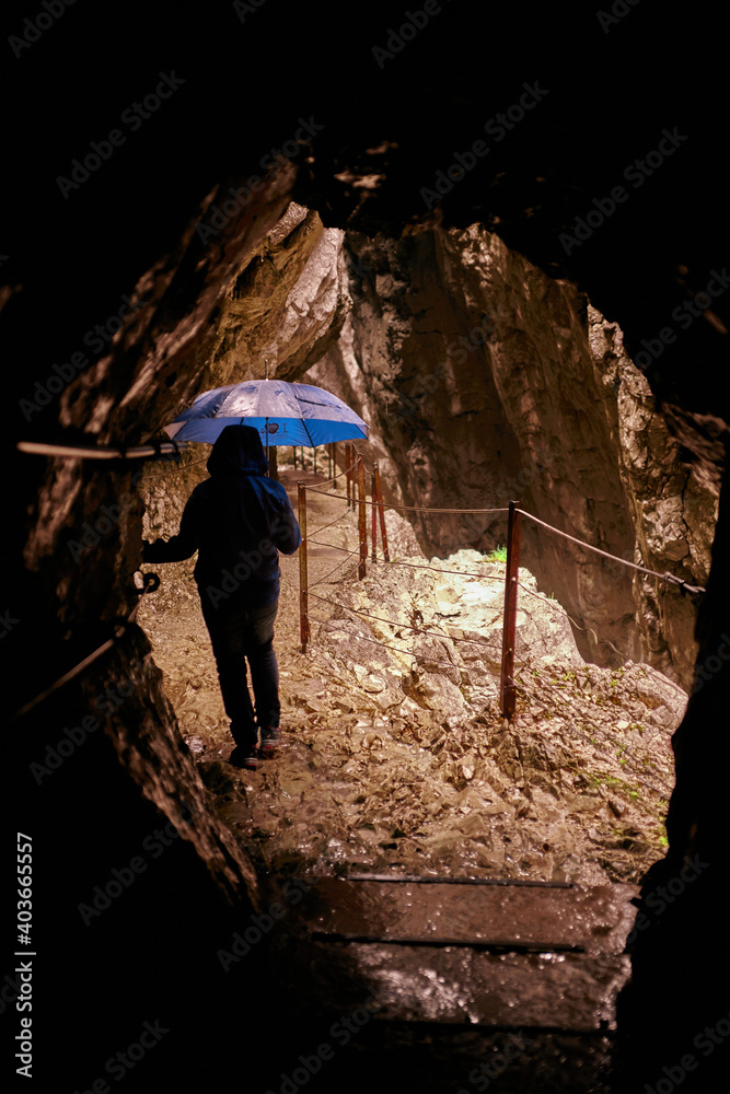 Obraz premium standing on a rock