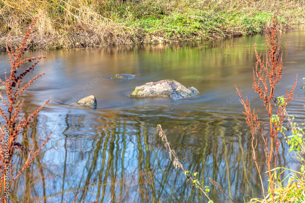 Obraz premium Close-up of water stream flowing between stones in a river between grass and wild plants, autumn day in Sweikhuizen, South Limburg, the Netherlands. Long exposure photography