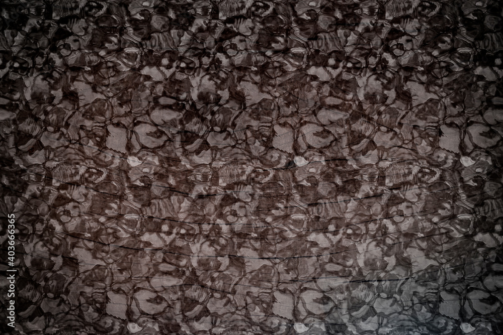 Fototapeta premium textura Madera