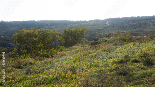 The woods near Feodosia, Eastern Crimea.