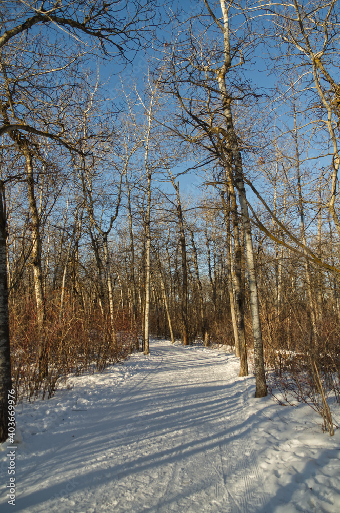 A Snowy Hiking Trail near the River Valley