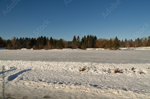 A Frozen Pond at a Park