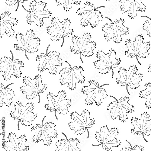 Seamless pattern from the leaves of a maple on a white background. Hand drawing. Vector illustration.