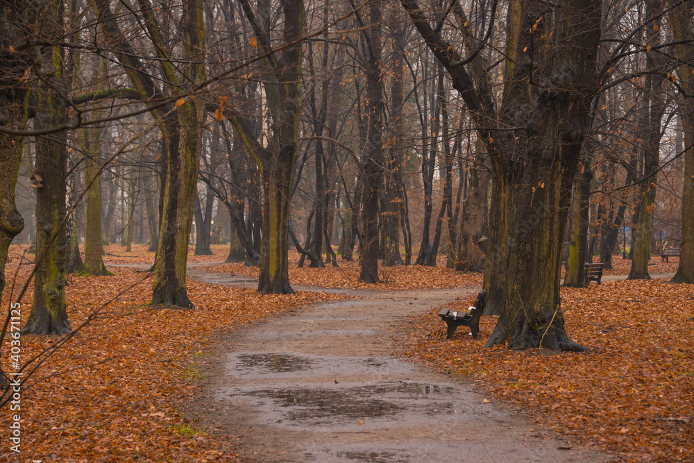 Naklejka premium Park Zachodni we Wrocławiu.
