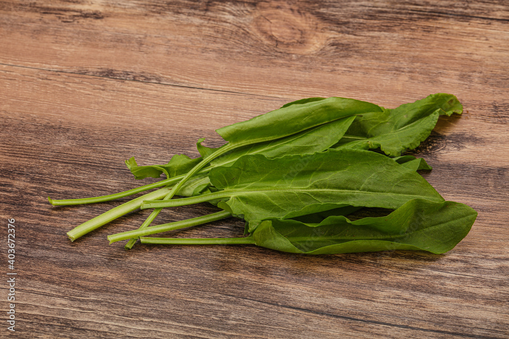 Aroma Fresh green sorrel heap Aroma Fresh green sorrel heap