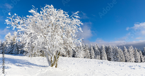 Winterpanorama - Verschneite Winterlandschaft und blauer Himmel.