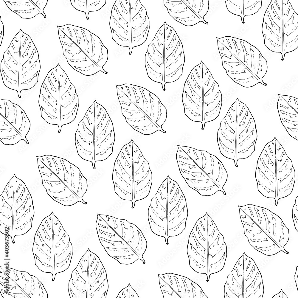 Seamless pattern from the leaves on a white background. Hand drawing. Vector illustration.
