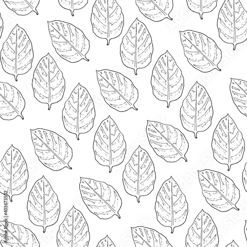 Seamless pattern from the leaves on a white background. Hand drawing. Vector illustration.