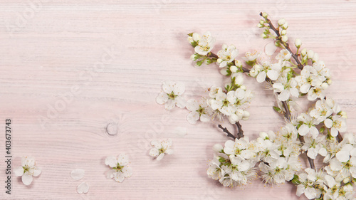 Plum flowers on a wooden background