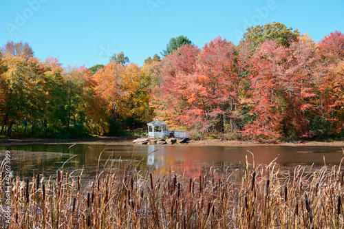 Autumn color of icehouse pond hopkinton MA USA photo