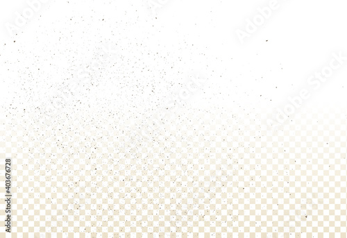 Mold, mildew, decay, stains, splashes, explosion. On an isolated background. Trail of grunge blots and splashes. Vector pattern of natural origin.