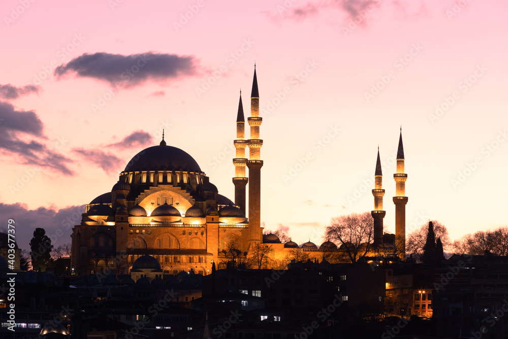 Obraz premium Suleymaniye Mosque in Istanbul, Turkey