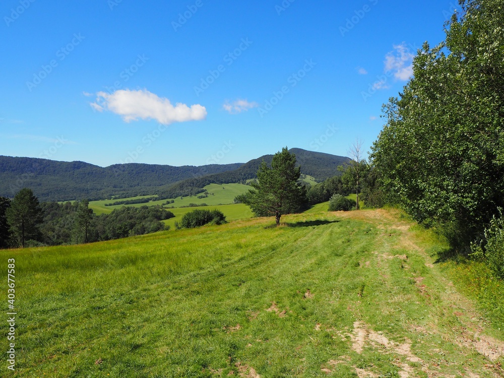 Fototapeta premium Beskid Niski, Cigielka, Małopolska, Polska (widok z czerwonego szlaku na zachód) / Beskid Niski, Cigielka, Małopolska, Poland (view from the red trail to the west)