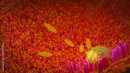 Foto cryptosporidium parvum bacterium on gastric intestinal mucosa bacteria concept 3