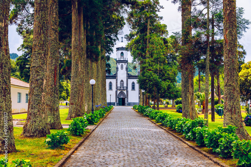 Church of Sao Nicolau  Saint Nicolas  with an alley of tall trees and hydrangea flowers in Sete cidades on Sao Miguel island  Azores  Portugal. Parish Church of St. Nicholas  Sete Cidades  Azores.