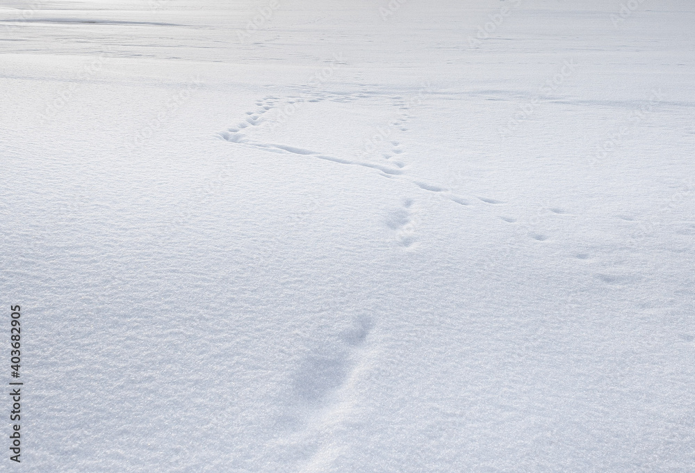 White snow abstract texture background. Footprints of shoes on white snow. Snow dune. White snow abstract texture background. Footprints of shoes on white snow. Snow dune.