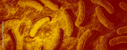 Tableau sur toile Bakterien auf Oberfläche: Legionellen, Salmonellen oder Cholera