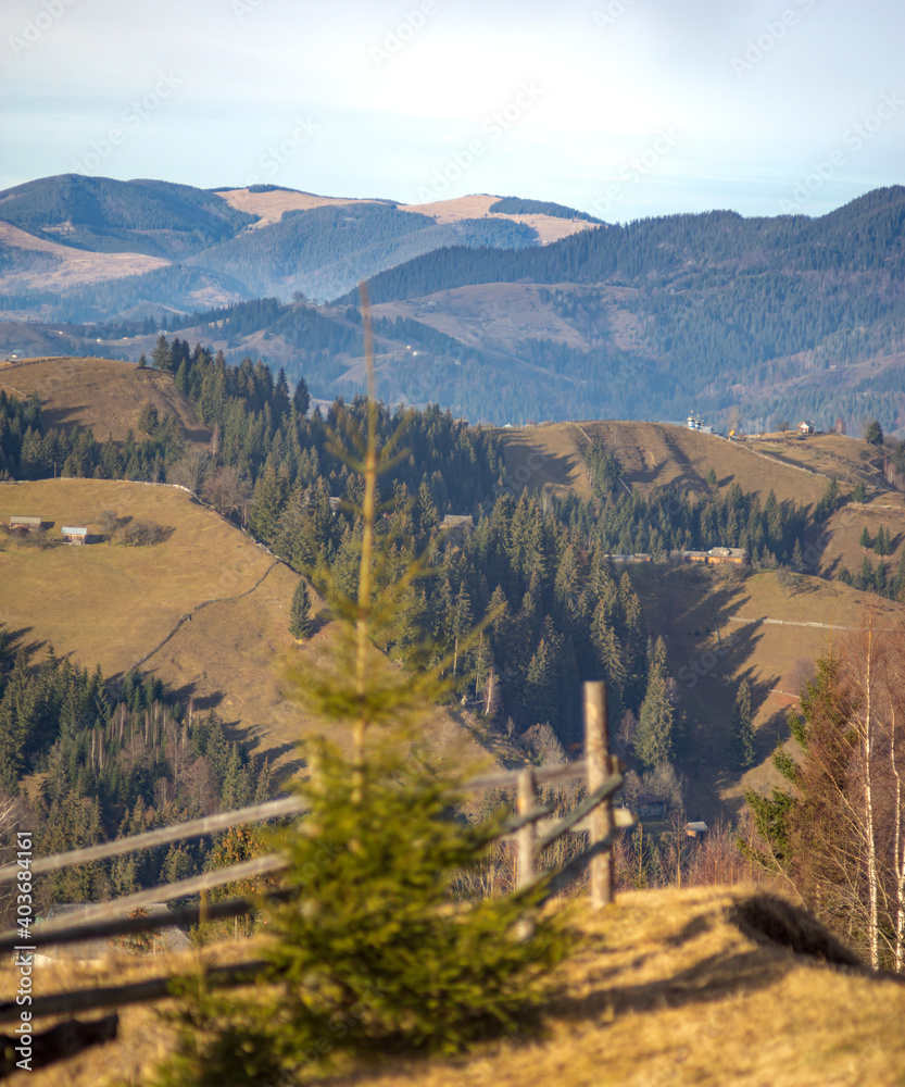 Panorama of a village in the Carpathian mountains