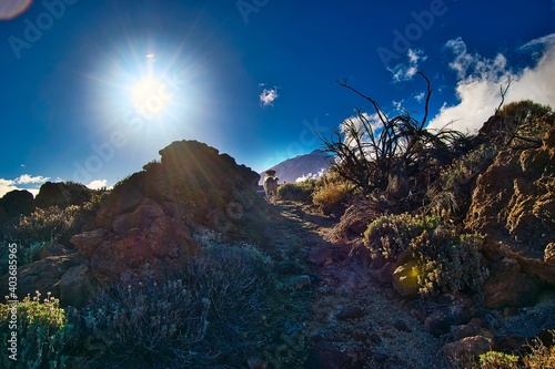 Perro al final de sendero mirando hacia el Teide