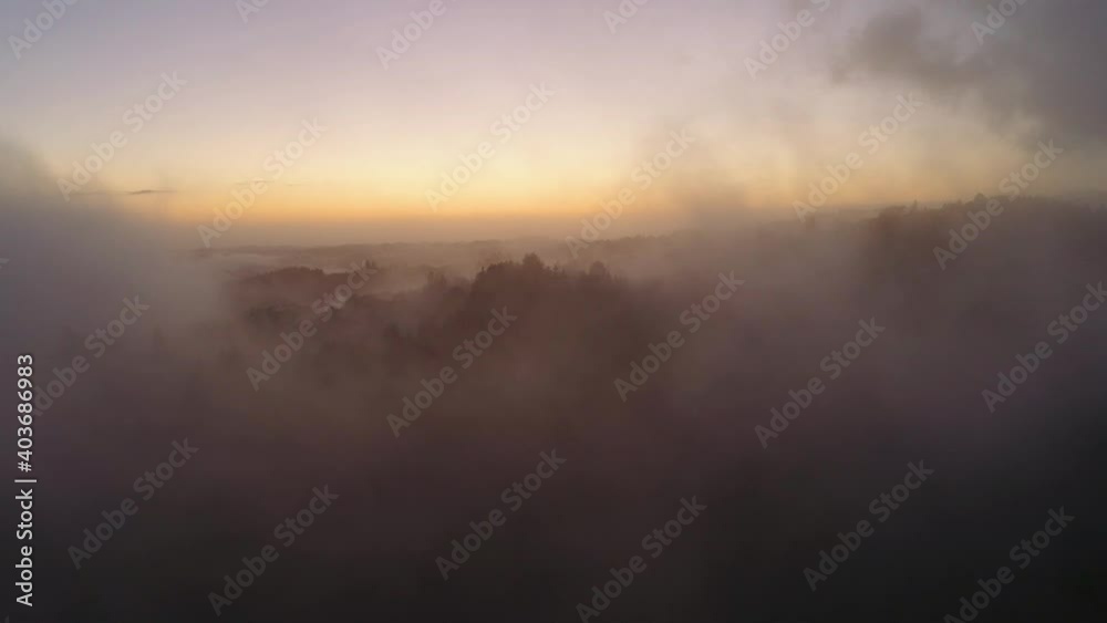 Slowly rising aerial shot over a forest with lots of fog and clouds. Landscape reveals, shot near sunset in California hills. Mist moving and swirling. Slowly rising aerial shot over a forest with lots of fog and clouds. Landscape reveals, shot near sunset in California hills. Mist moving and swirling.
