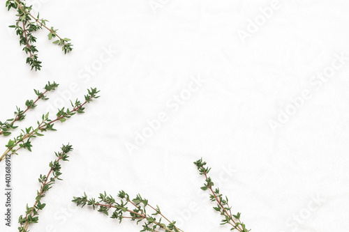 Thyme sprigs on white background