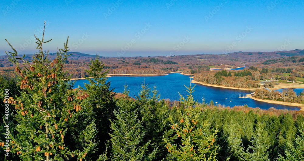 Fototapeta premium Limousin