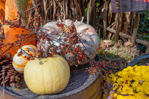 Autumn outdoor decoration photo