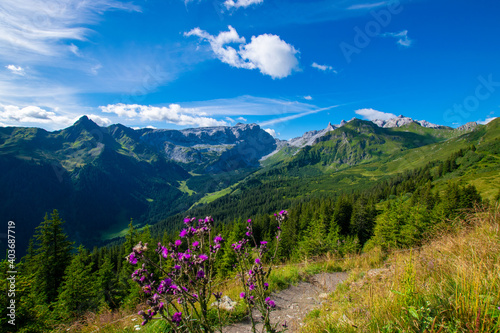 landscape in the mountains (Vorarlberg, Austria)