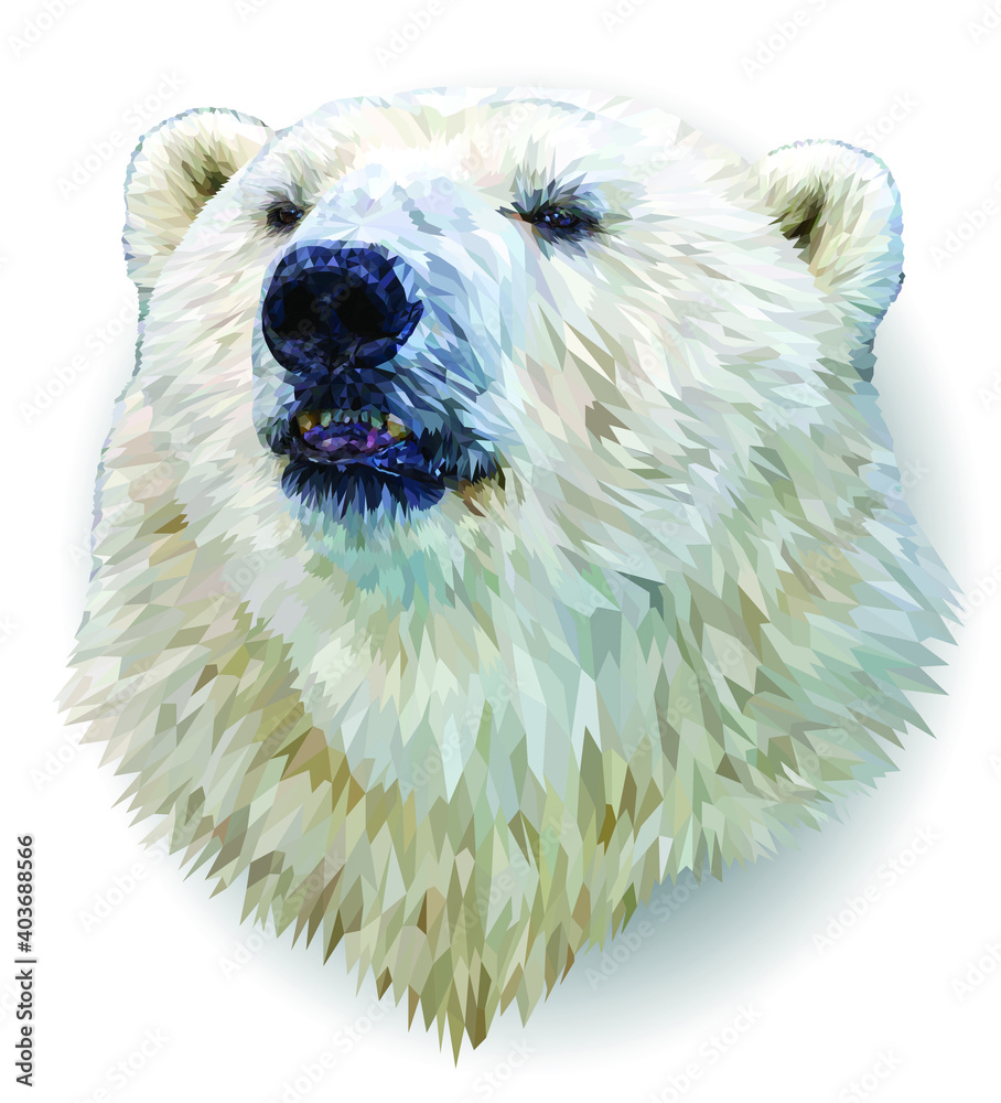 Polar bear portrait isolated on white background. The polar bear's smart gaze is directed at you. Illustration. Vector. EPS10. Polar bear portrait isolated on white background. The polar bear's smart gaze is directed at you. Illustration. Vector. EPS10.
