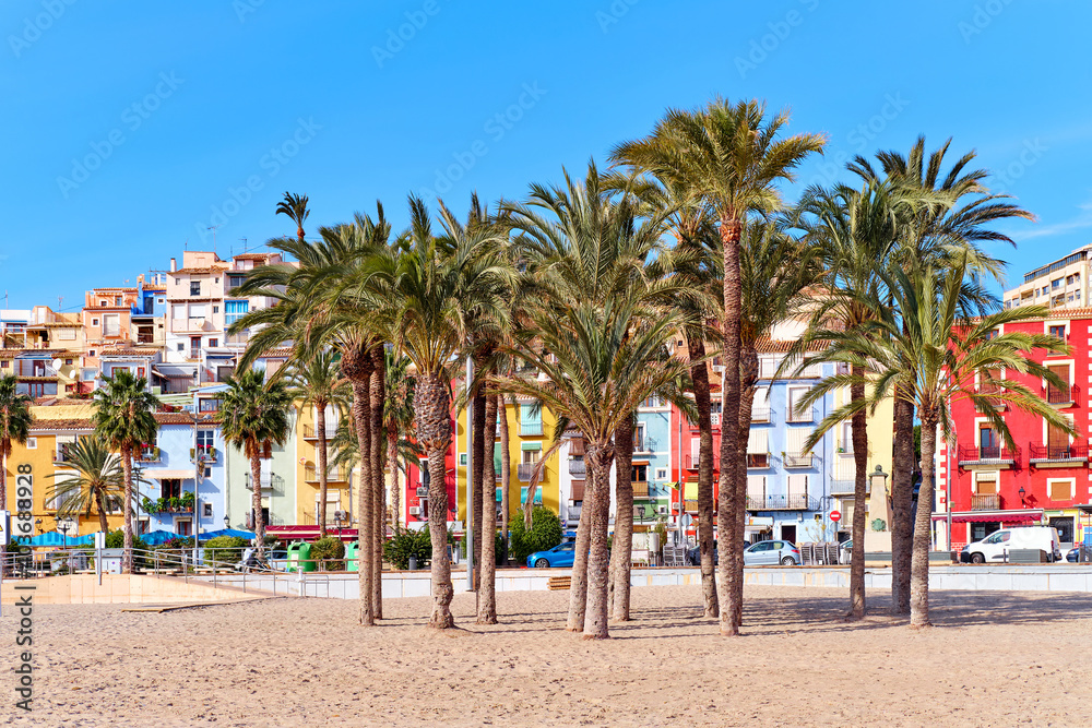 Fototapeta premium Villajoyosa sandy beach with coloful houses and palm trees. Spain