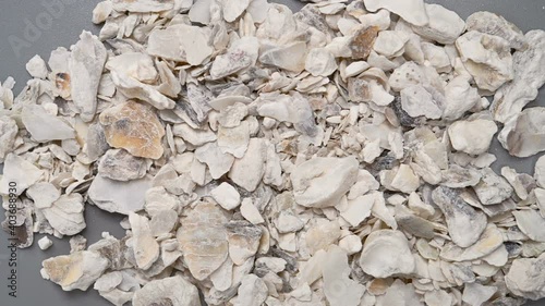 top angle pan view medicine MuLi or Ostreae Concha or Common Oyster Shell