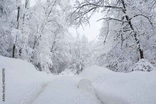 A wonderful forest of winter scenery during cross country skiing around Przywidz, Kashubia, Poland