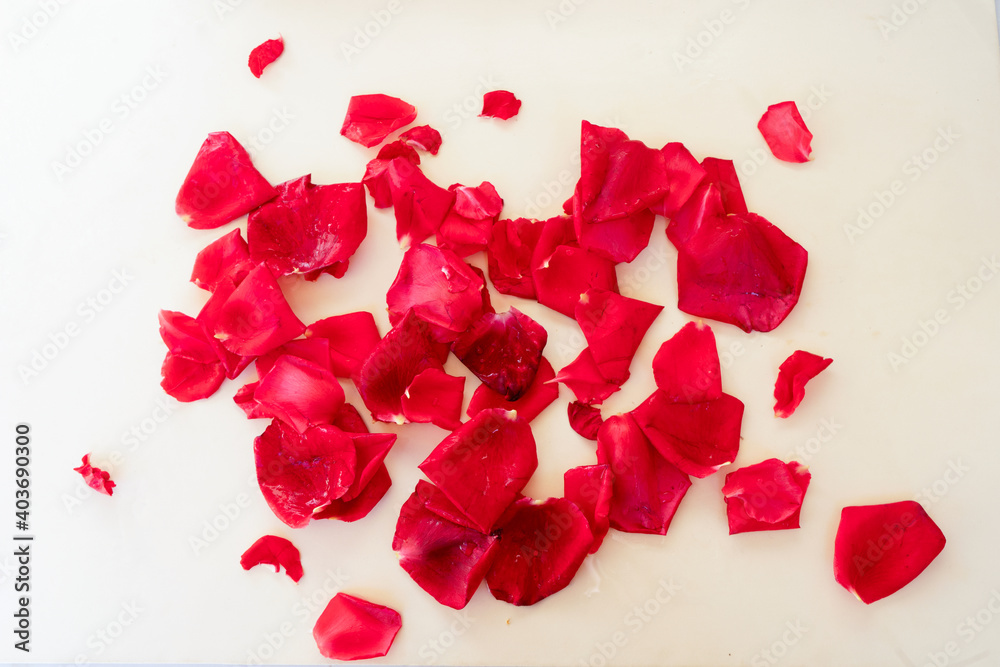 dark red roses on table dark red roses on table