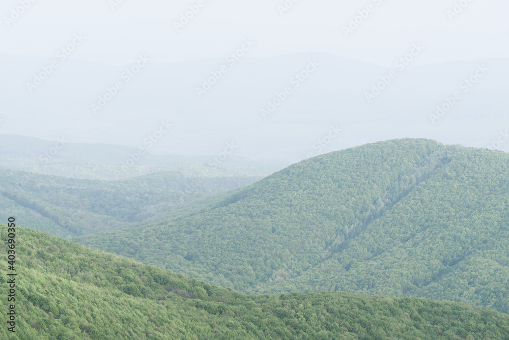 Simple minimalistic spring landscape Simple minimalistic spring landscape