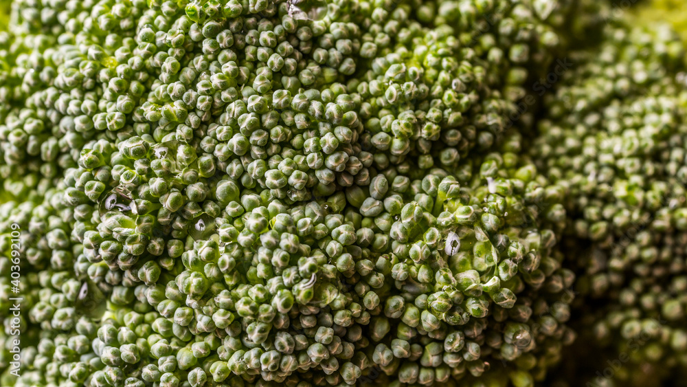 Macro view of broccoli. 