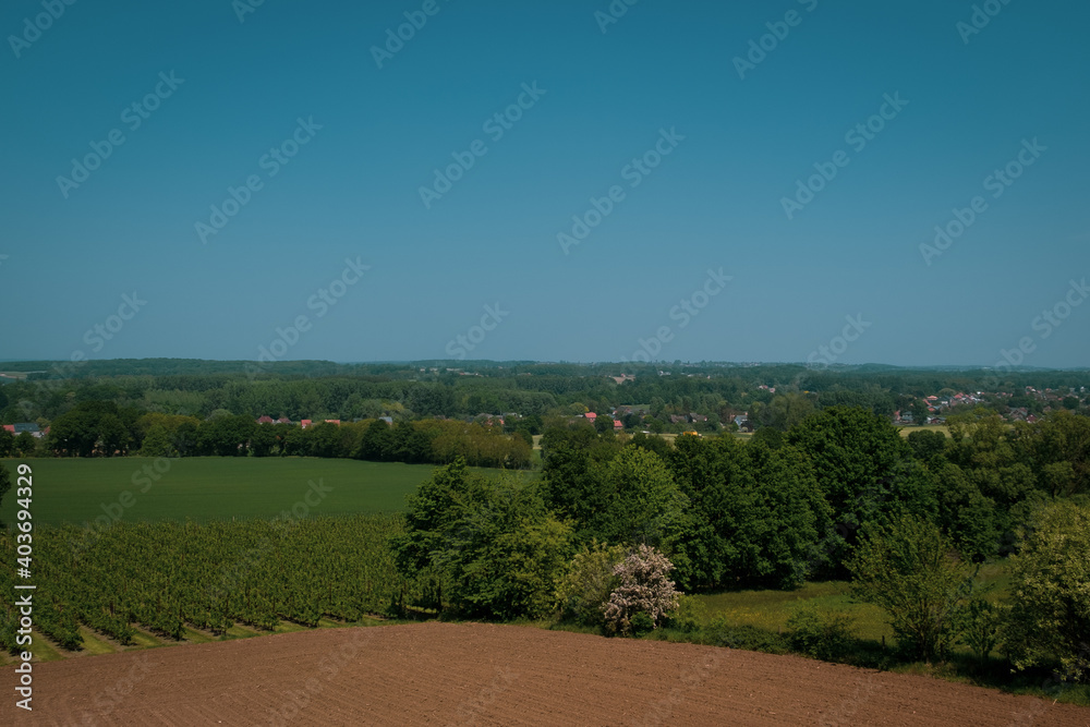 countryside agricultural landscape with trees