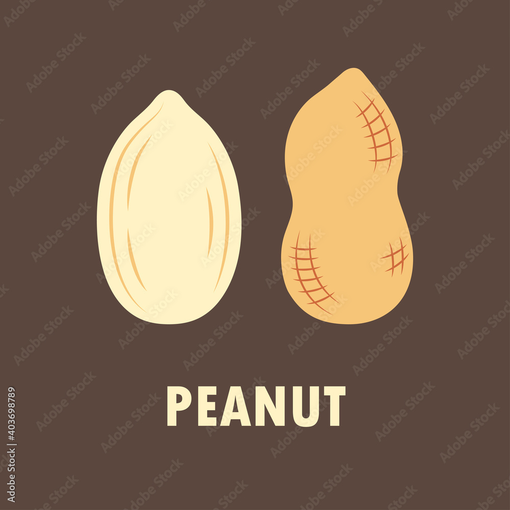 vector illustration of peanut on brown background vector illustration of peanut on brown background