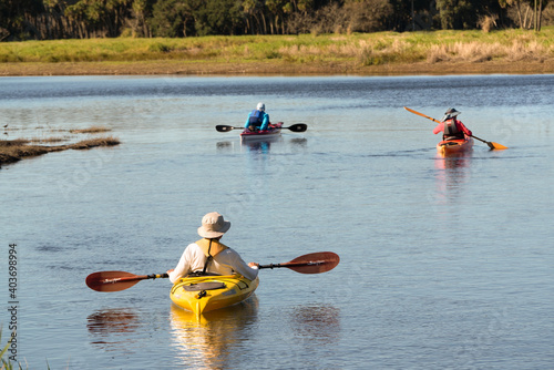Tourists paddle their kayaks on the river at Myakka River State Park in Sarasota Florida