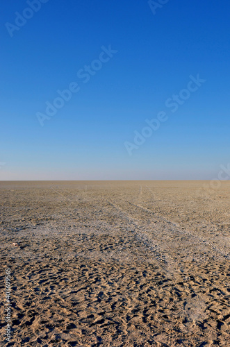 Sand salt and savannah till the endless horizon at the etosha salt pans in Namibia