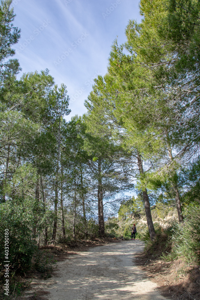 Obraz premium Montaña