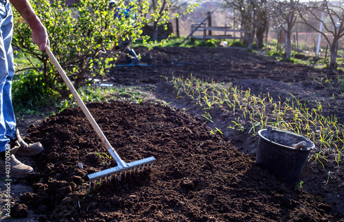 woman gardening in early spring
