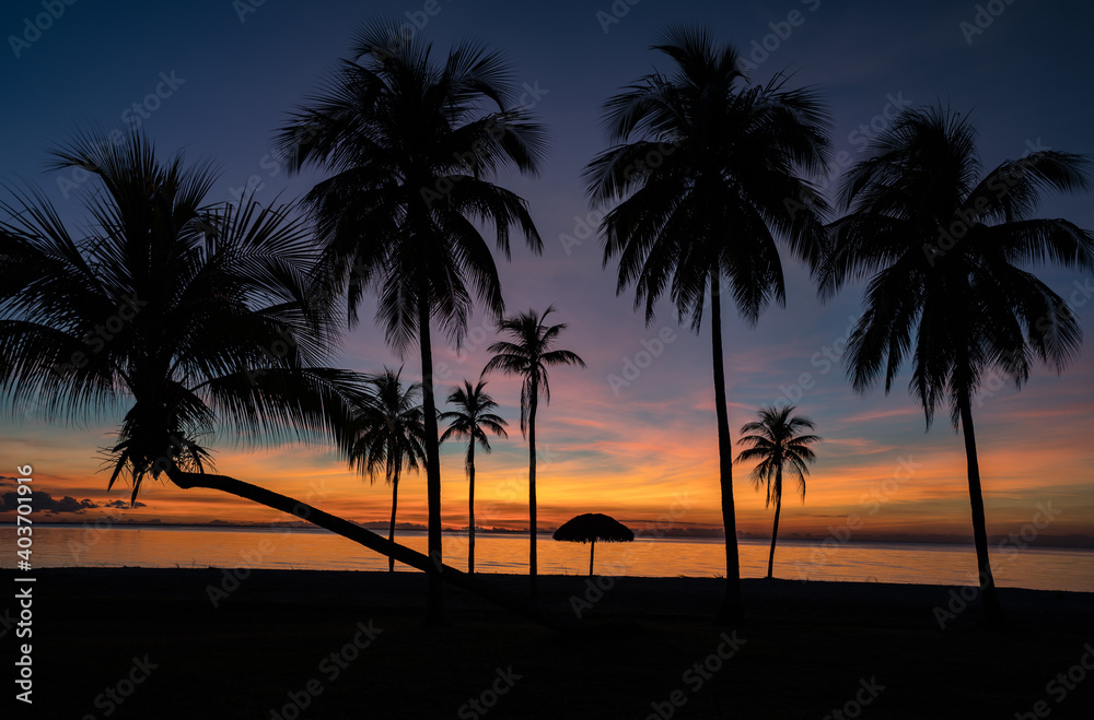 Sunset over the beach and palm trees El Colony (ex Hilton) Isla de Juventud Cuba