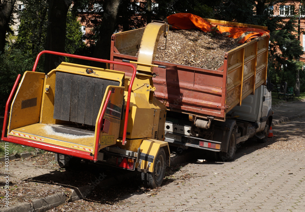 Branch chipper in action. Loading on a truck. Branch chipper in action. Loading on a truck.