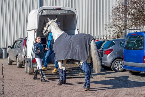 Auto trailer for transportation of horses . transportation livestock . Horse ready to go in van .