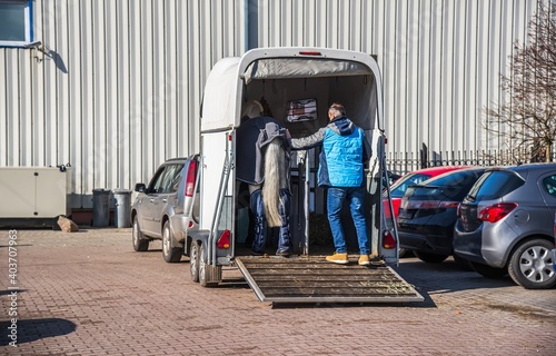 Auto trailer for transportation of horses . transportation livestock . Horse ready to go in van .