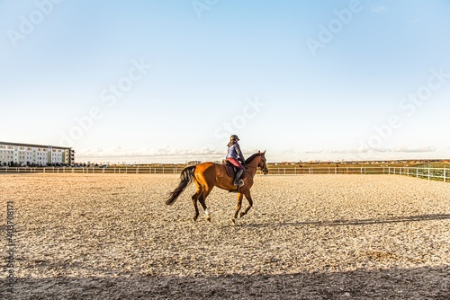 Horse riding. Young girl riding a horse