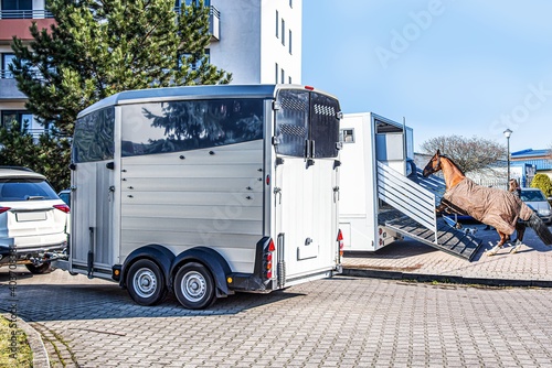 Horse vehicle . Carriage for horses . Auto trailer for transportation of horses . transportation livestock 