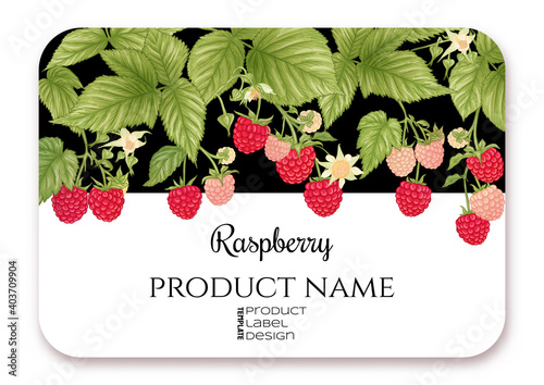 Raspberry. Ripe berries on branch. Template for product label, cosmetic packaging. Easy to edit. Graphic drawing, engraving style. Vector illustration..