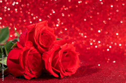 Red rose on a shining background. Valentine s day concept  place for text.