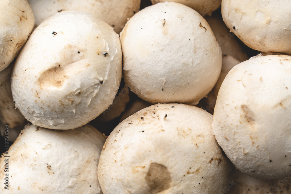 Top view full frame close up on Agaricus marshmallows - raw organic fresh food from farm - healthy eating concept Top view full frame close up on Agaricus marshmallows - raw organic fresh food from farm - healthy eating concept